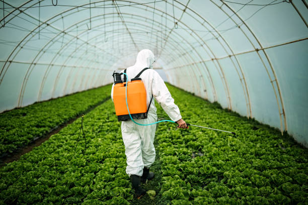 Best Commercial Pest Control Services  in Lebanon Junction, KY